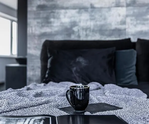 Sky Garden Penthouse * Klaipėda