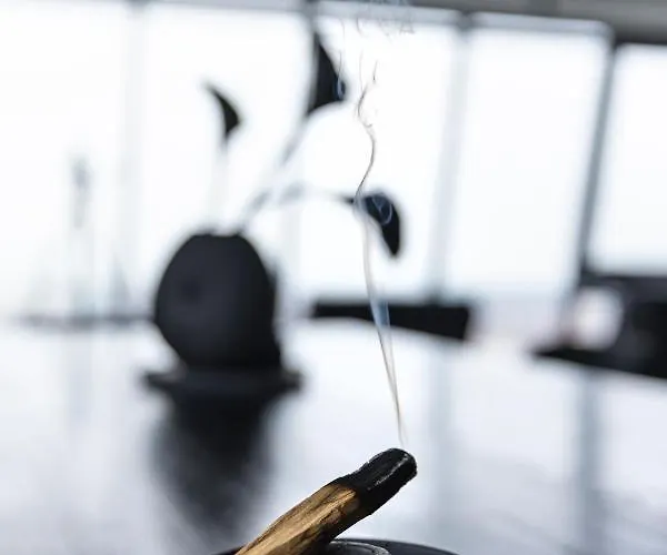 Sky Garden Penthouse * Klaipėda